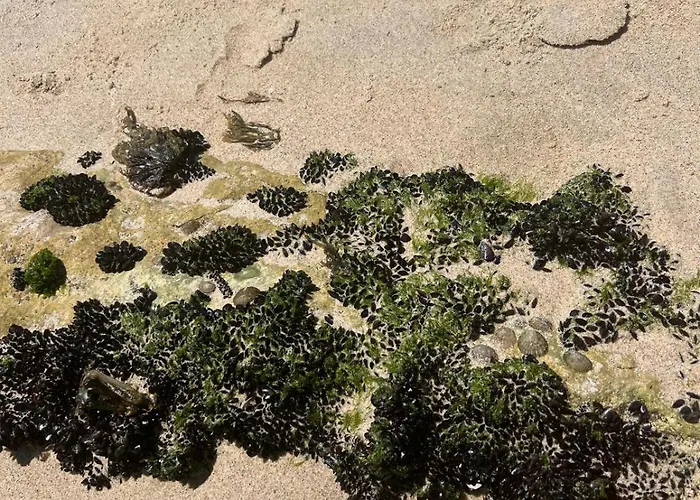 Hébergement de vacances Jugendstil - 2 Min Zum *